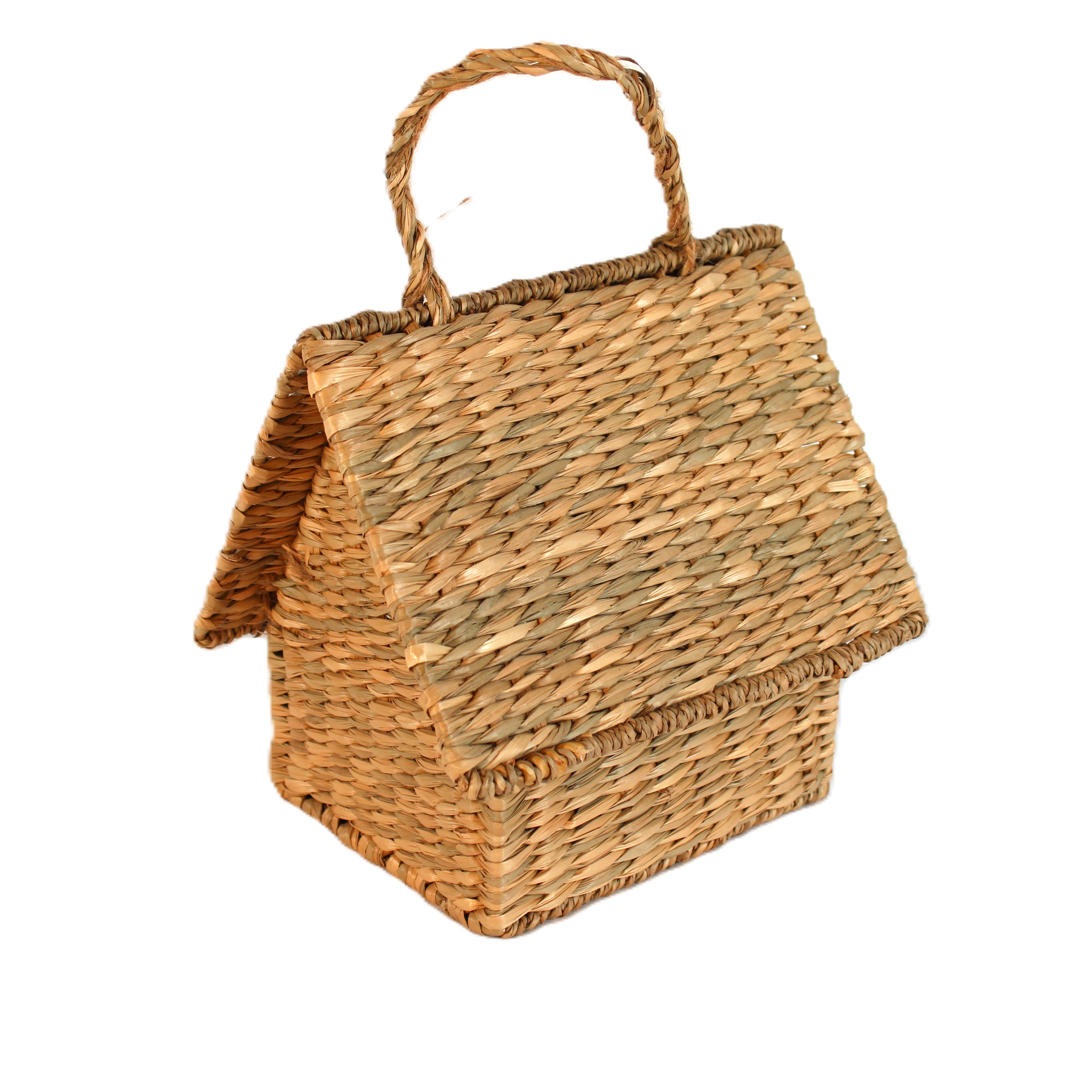 Birdhouse Purse in Seagrass