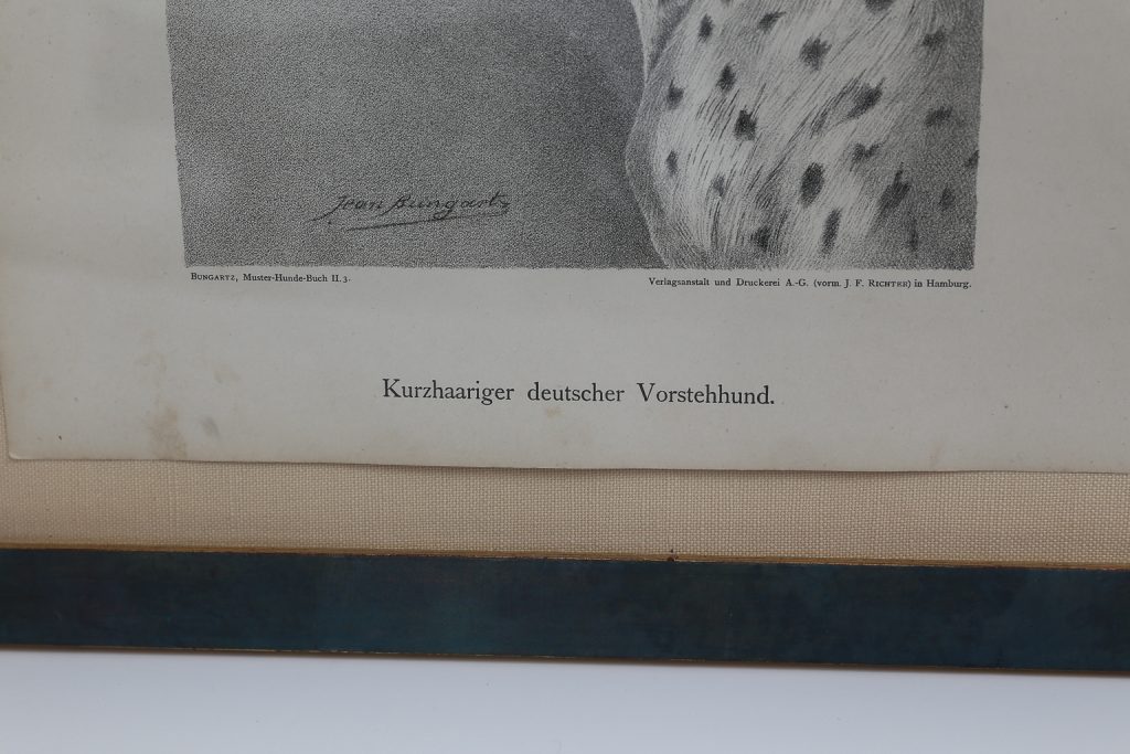 Jean Bungartz Dog Art Head Study Print Set