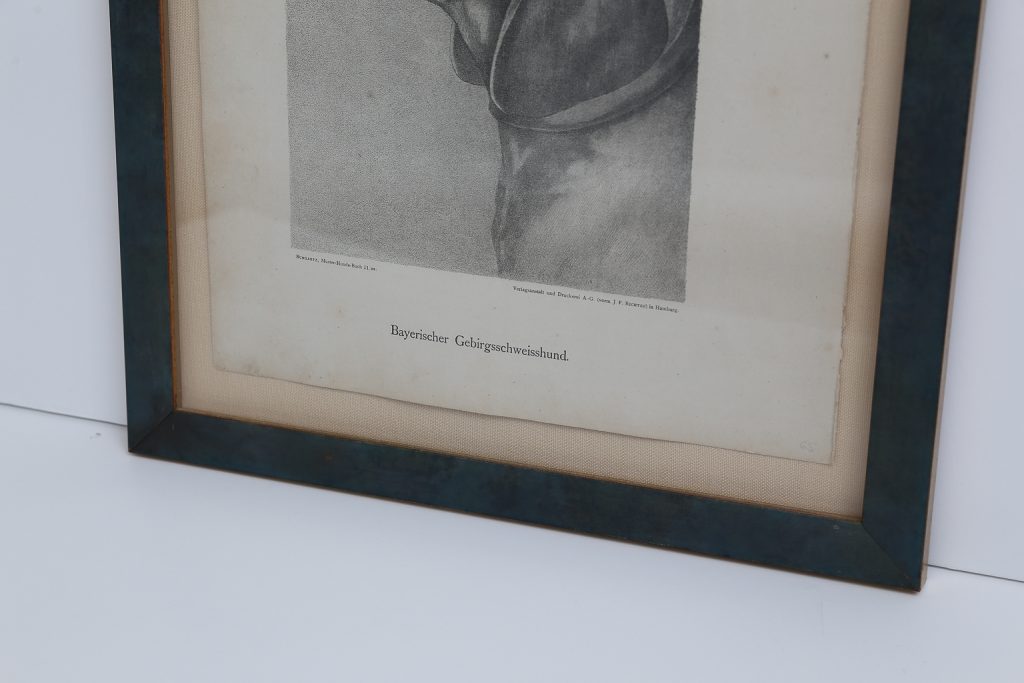 Jean Bungartz Dog Art Head Study Print Set