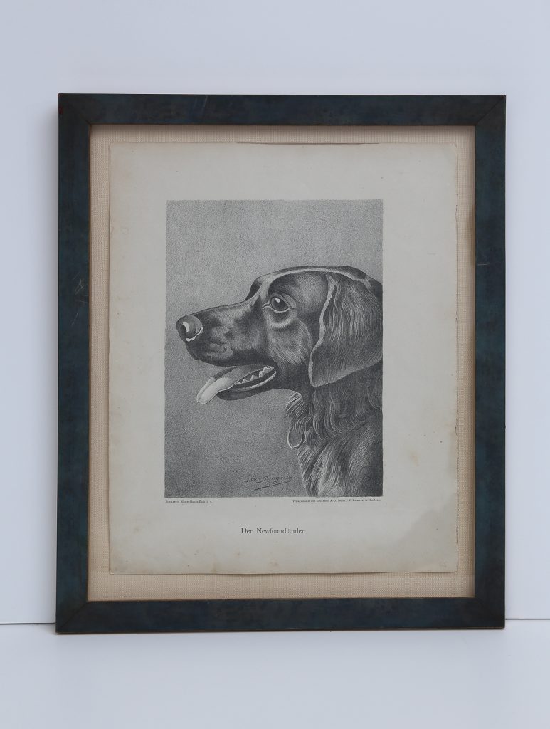 Jean Bungartz Dog Art Head Study Print Set