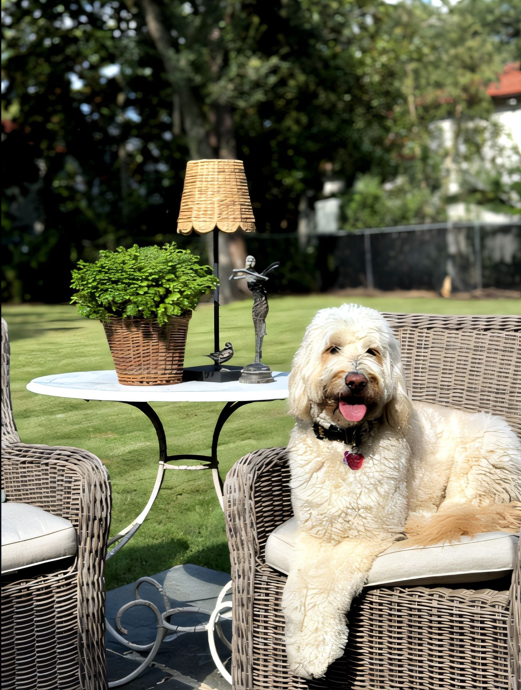 XXL Water Hyacinth Shade Cover (Scalloped in Natural)