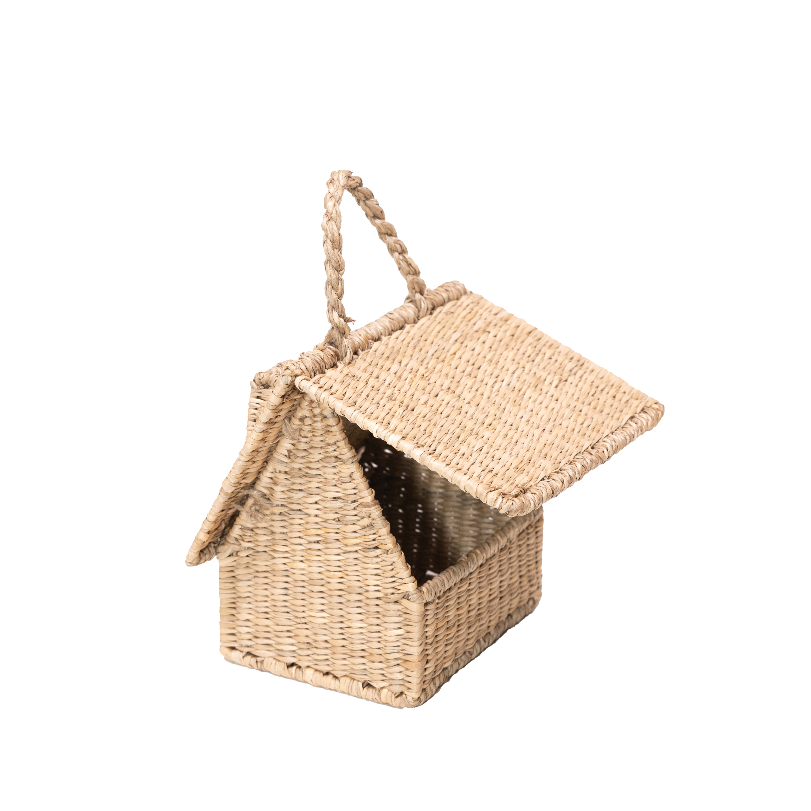 Birdhouse Purse in Seagrass