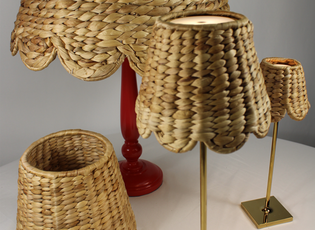 Water Hyacinth for Rechargeables