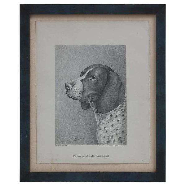 Jean Bungartz Dog Art Head Study Print Set