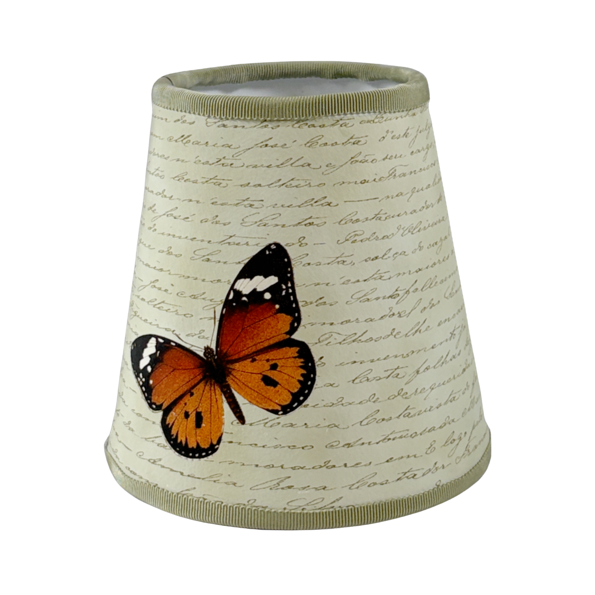 Butterfly on Celedon Manuscript