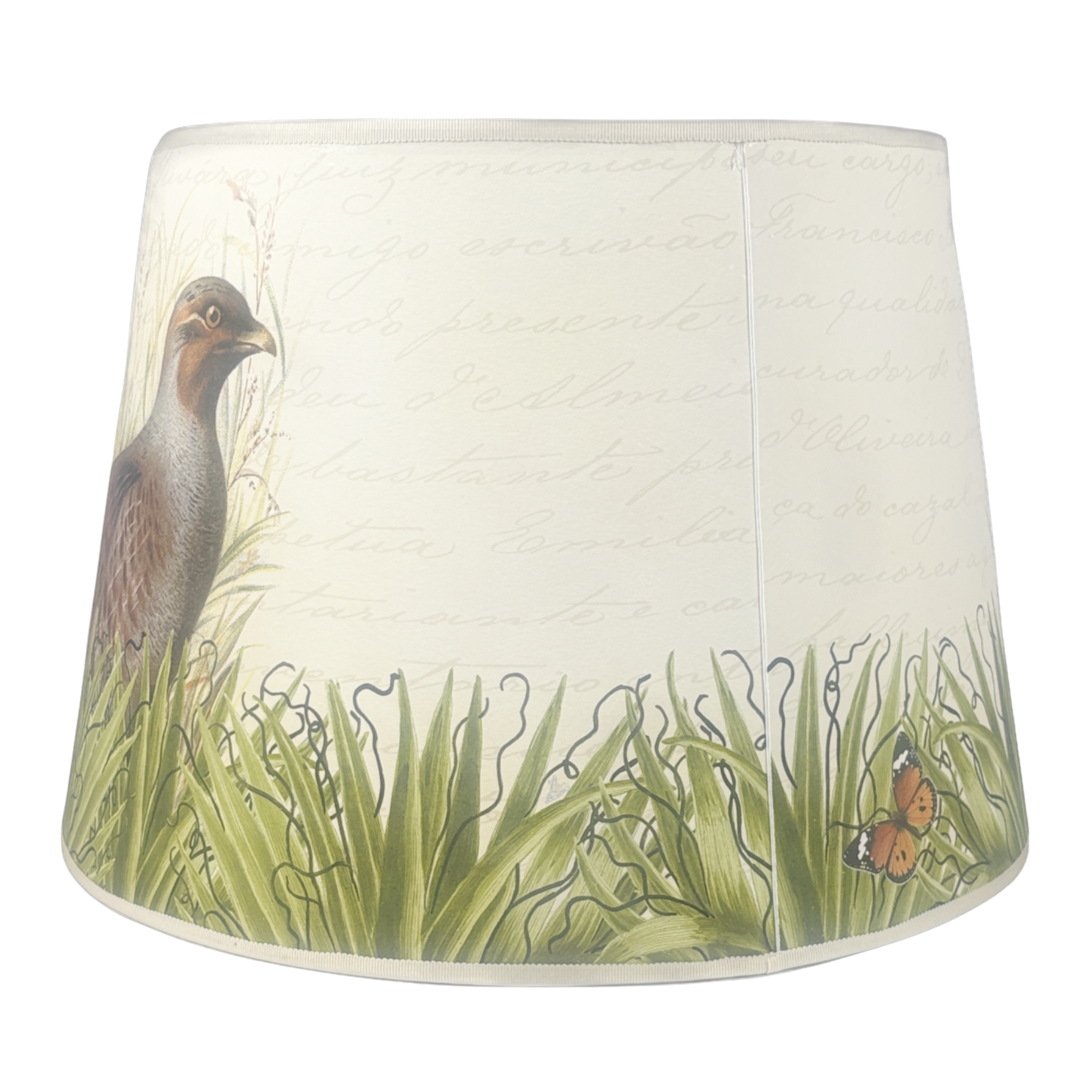 Large Pheasant on Parchment Manuscript with Butterfly