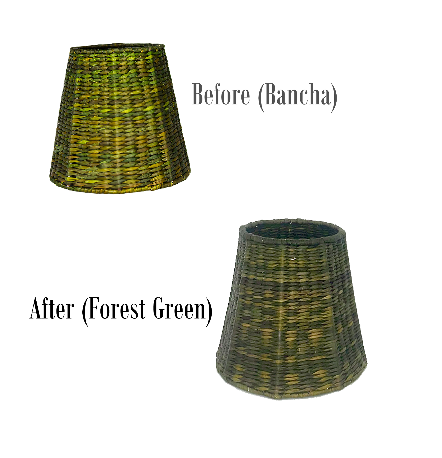 Small Seagrass Shade Cover (In Limited Edition 'Forest Green')