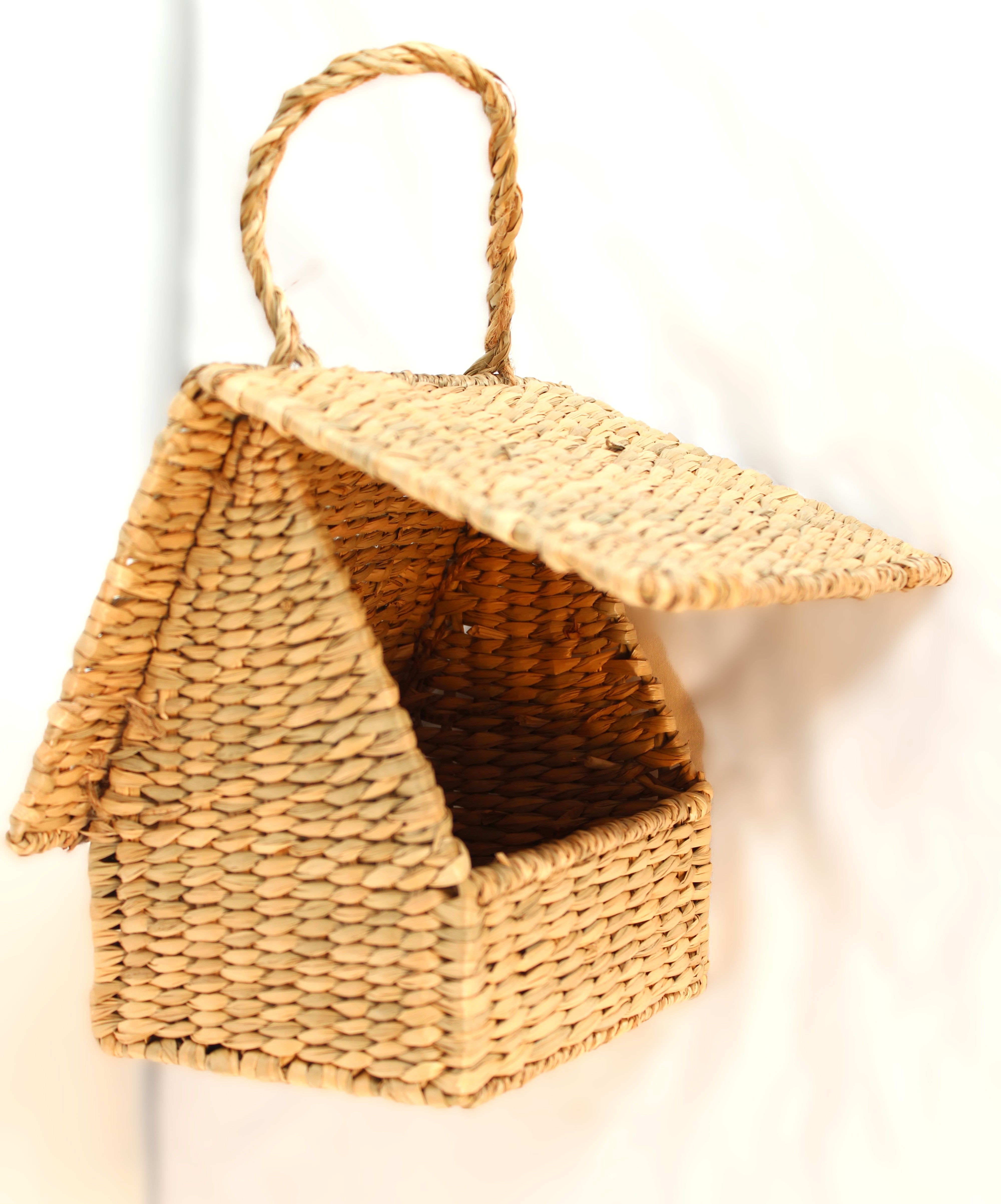 Birdhouse Purse in Seagrass