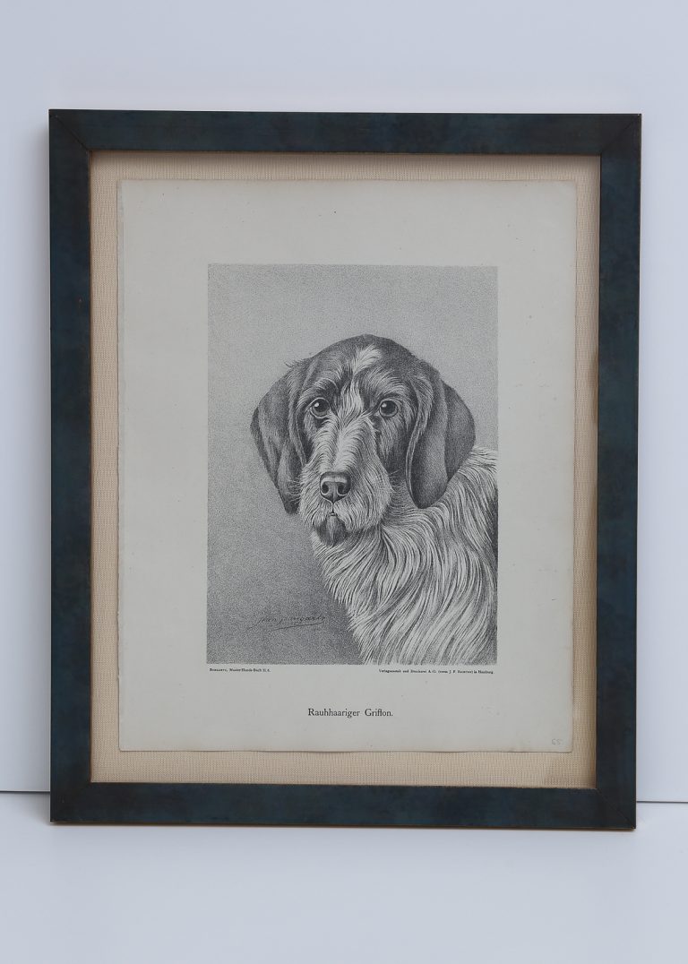 Jean Bungartz Dog Art Head Study Print Set