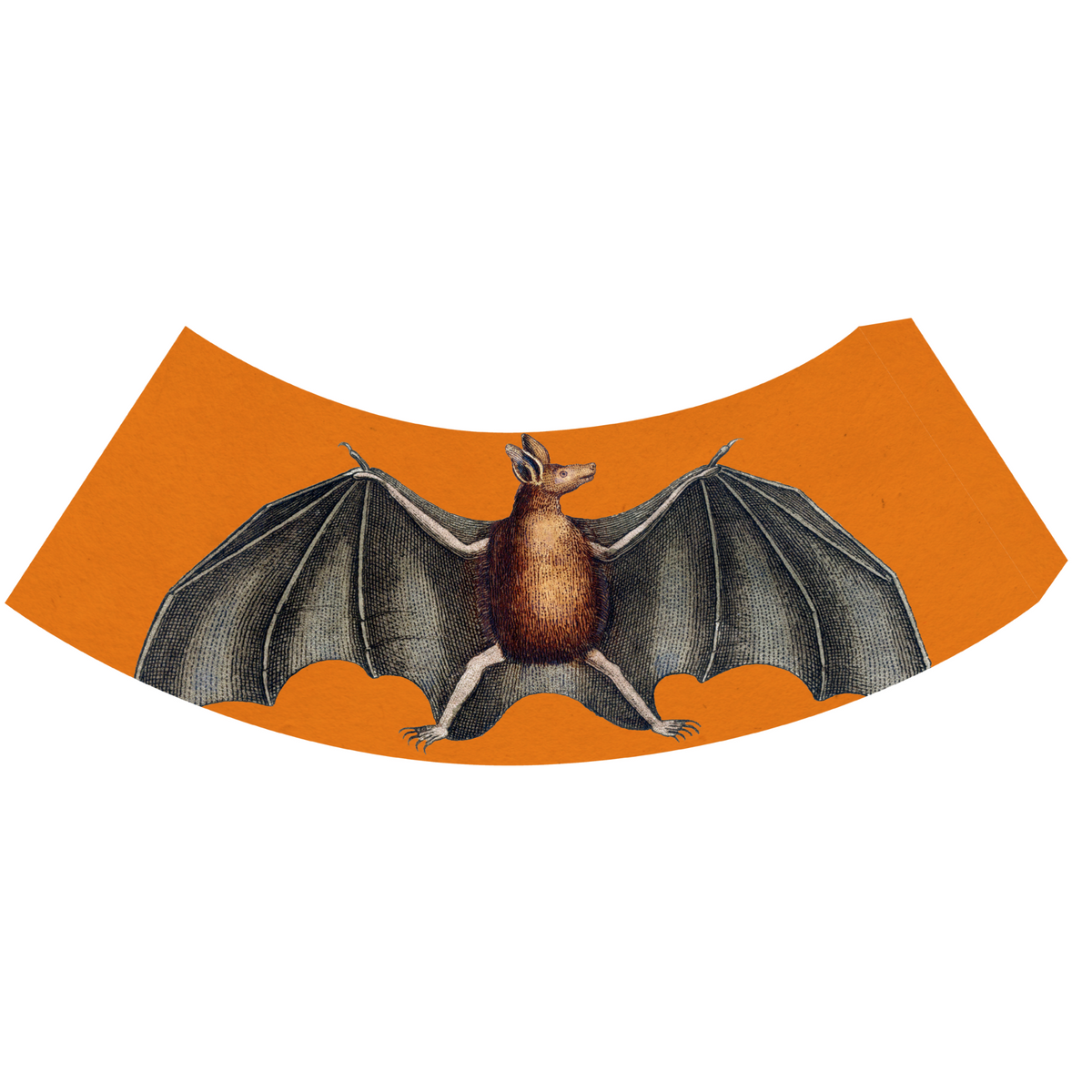 Halloween Arc Shade Covers, Set of 2