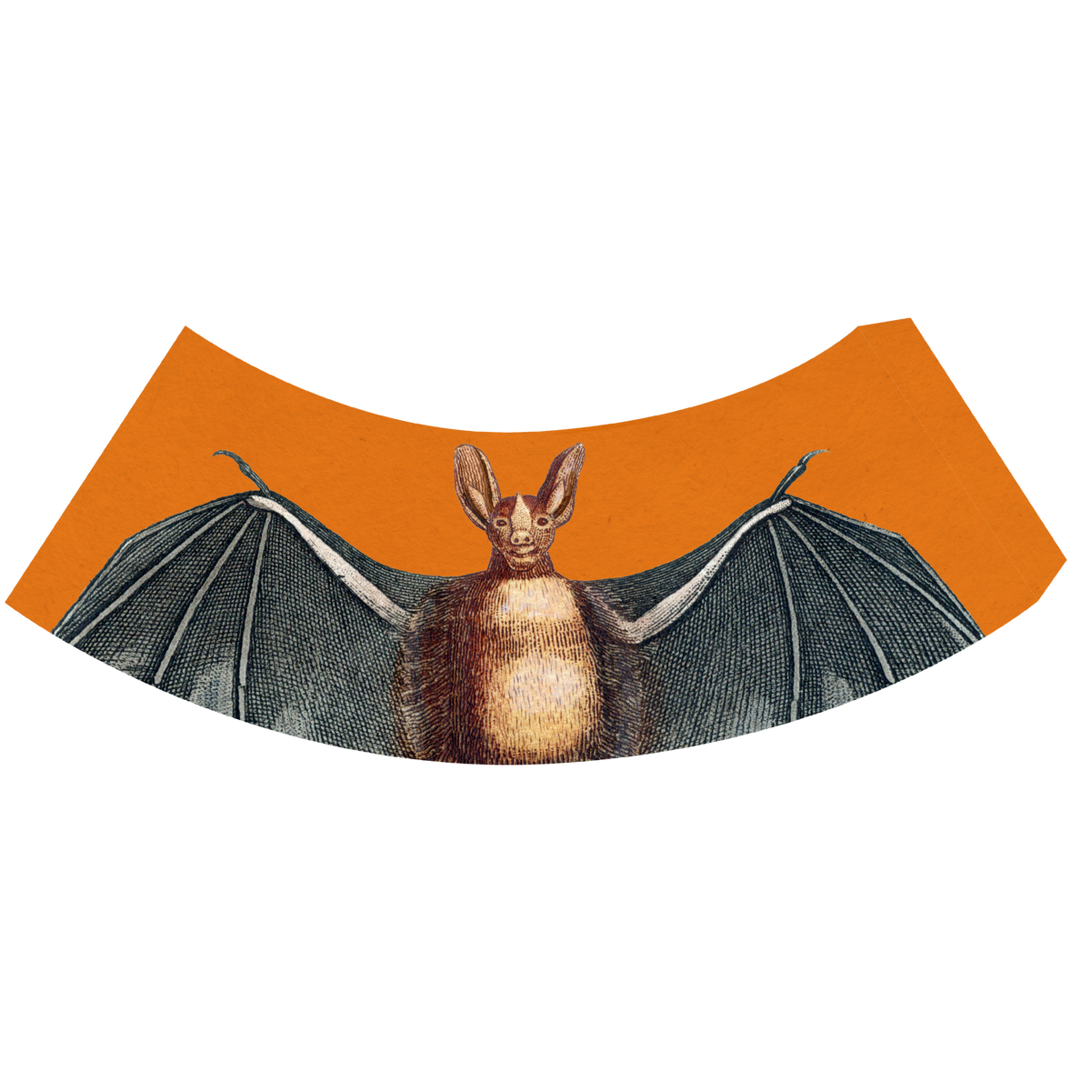 Halloween Arc Shade Covers, Set of 2
