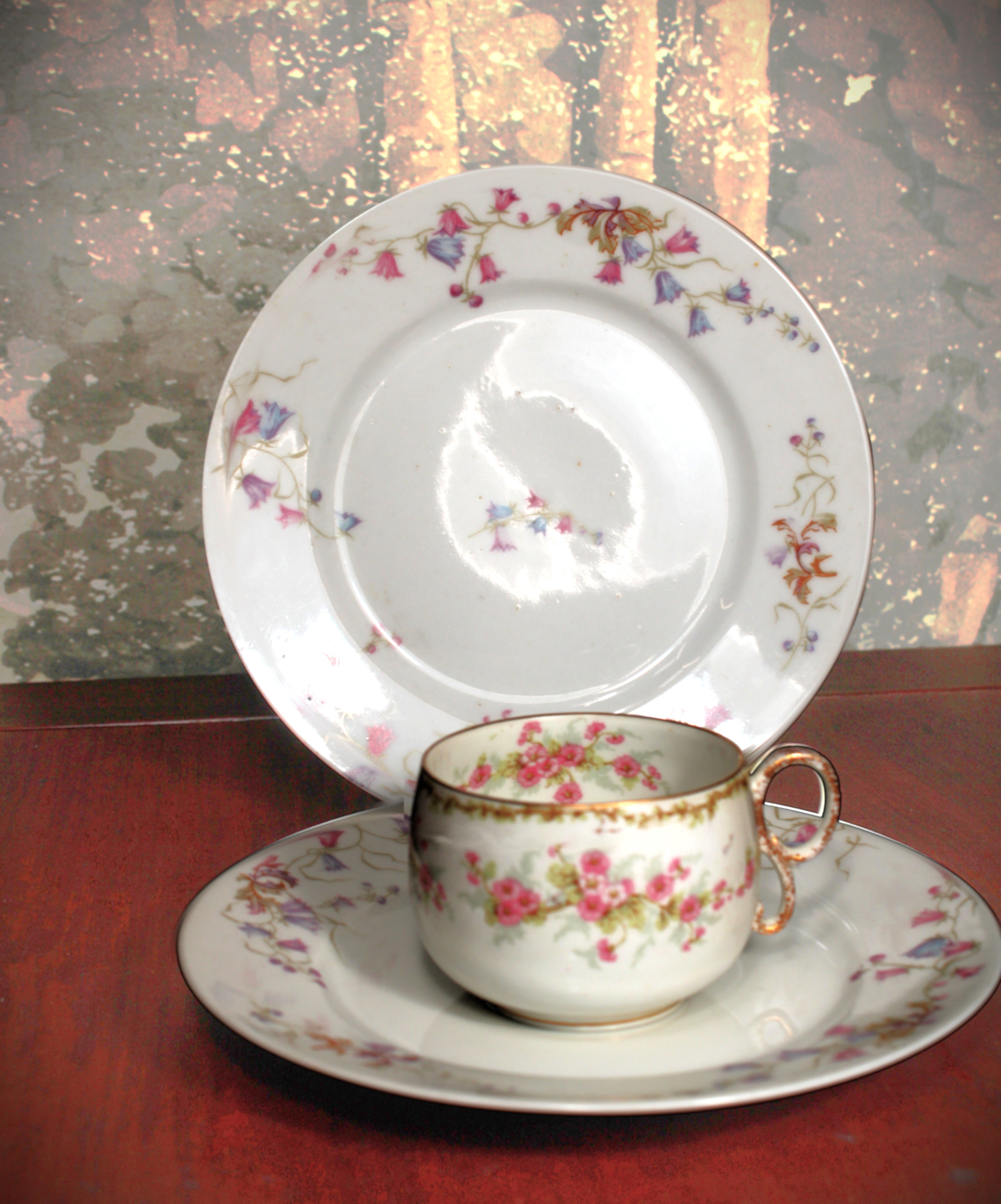 Set of Fine China Dinnerware - 'Schleiger 150'  by Haviland