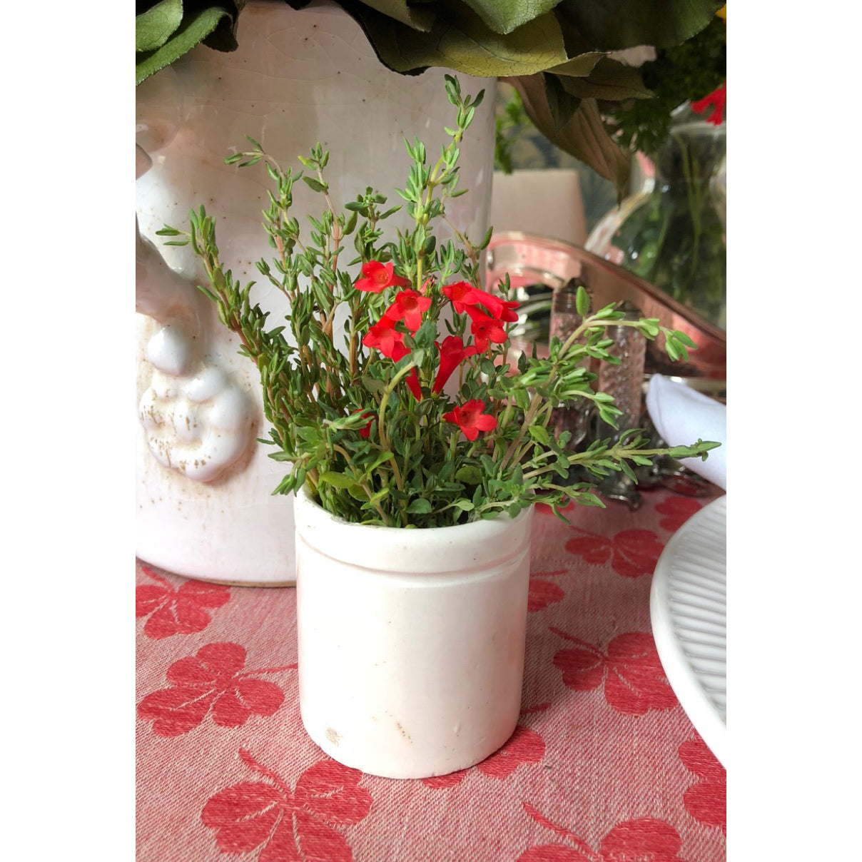 vintage plant pots indoor Small Vintage Ceramic Pots from France! \n \n2.5"W x 2.5"H