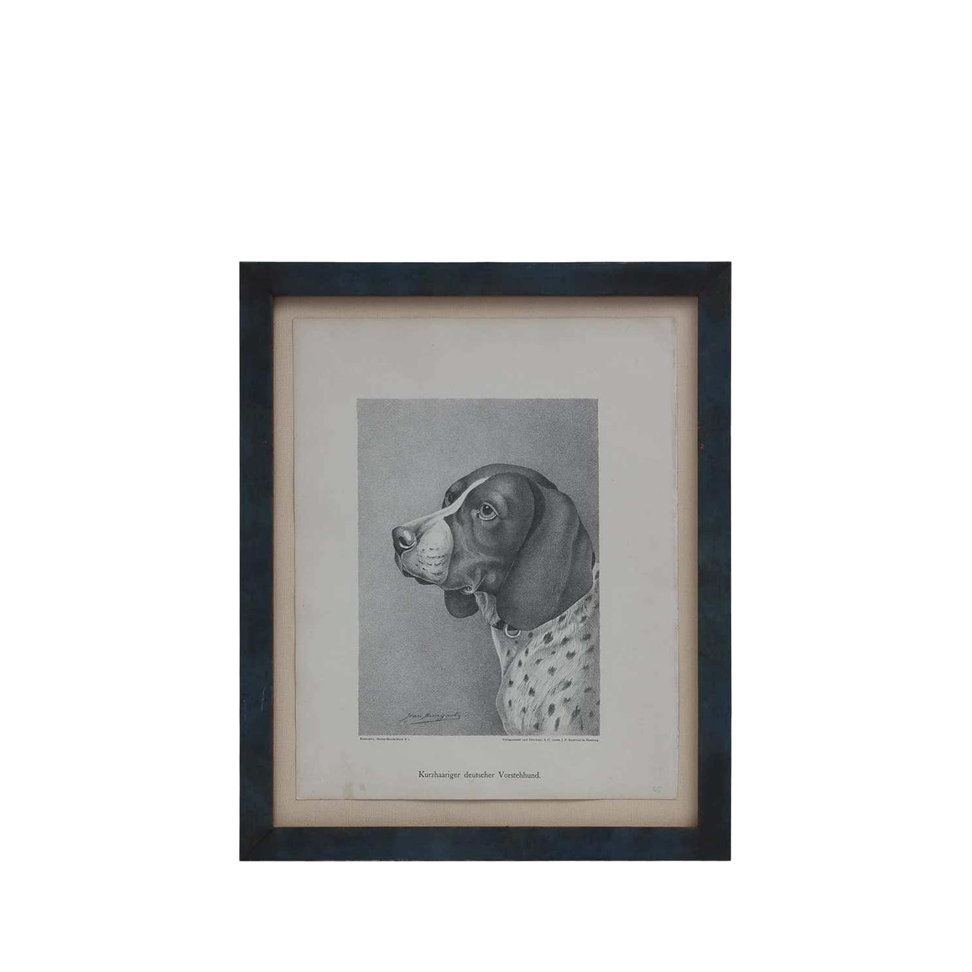 Jean Bungartz Dog Art Head Study Print Set