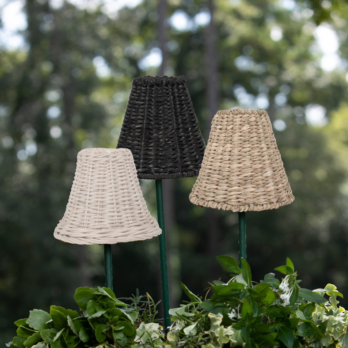 Petite Seagrass and Rattan Lampshades Empire Base